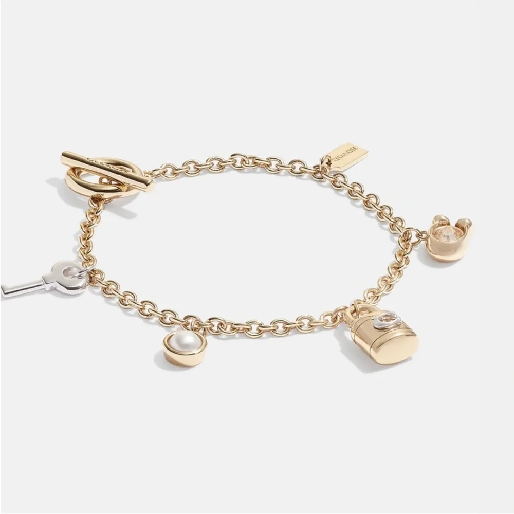 Elegant Gold and Silver Charm Bracelet - Picture 3 of 8